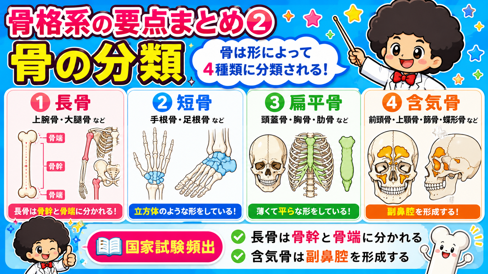骨の4分類(長骨・短骨・扁平骨・含気骨)と各部位の名称