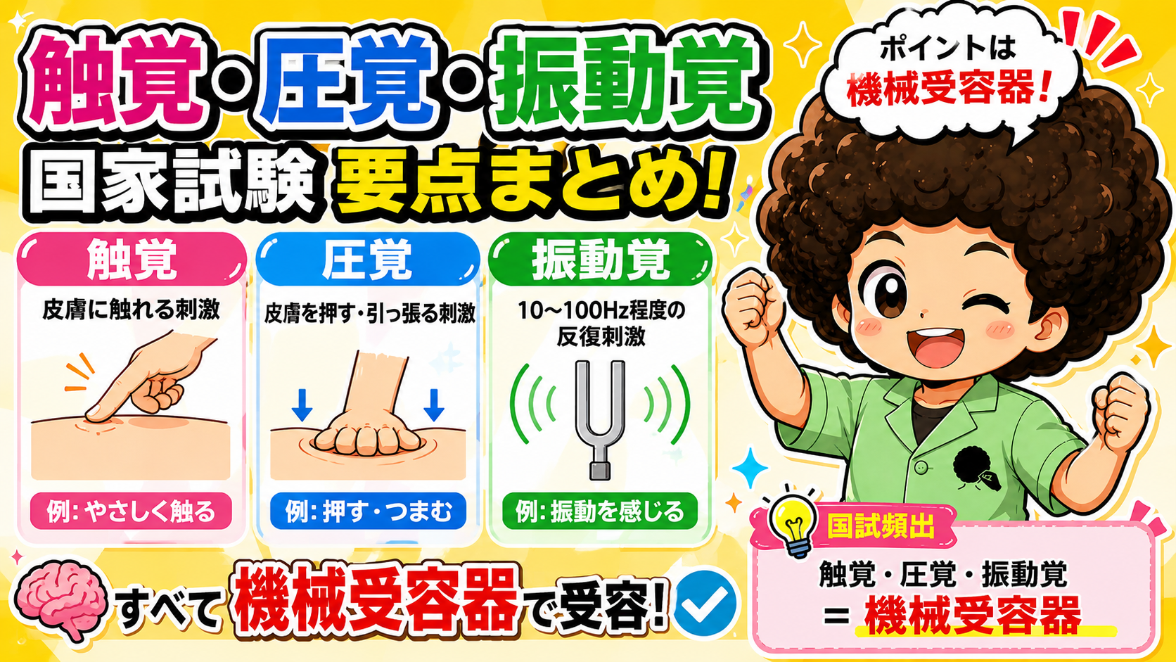 触覚・圧覚・振動覚｜触覚・圧覚・振動覚 1