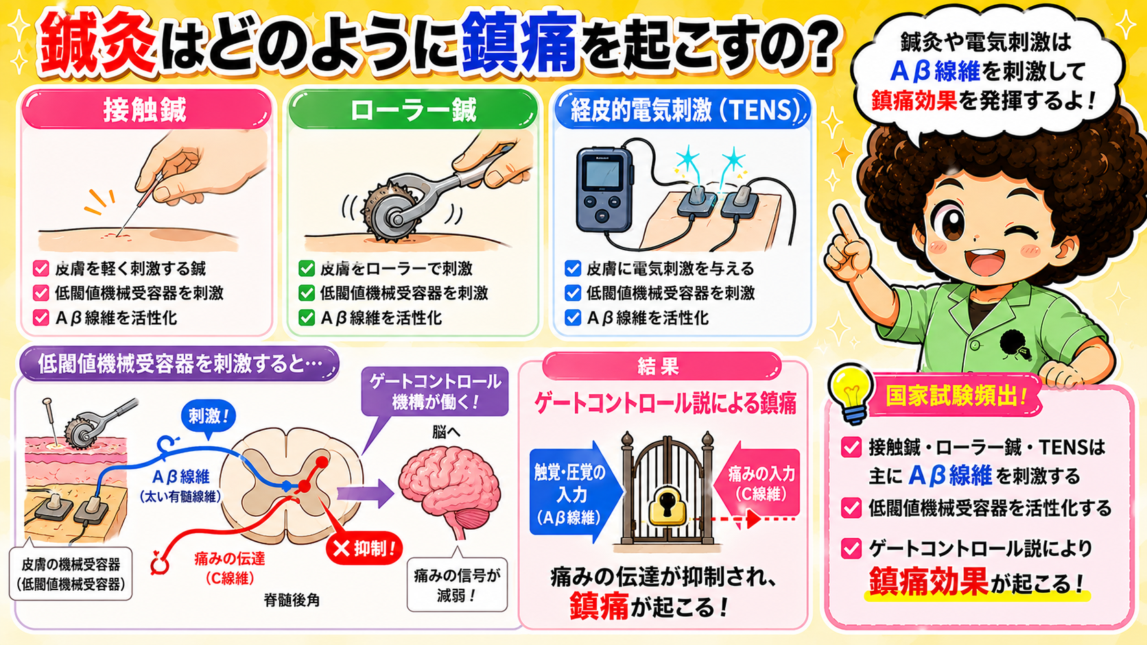 接触鍼・ローラー鍼・TENSによるゲートコントロール鎮痛