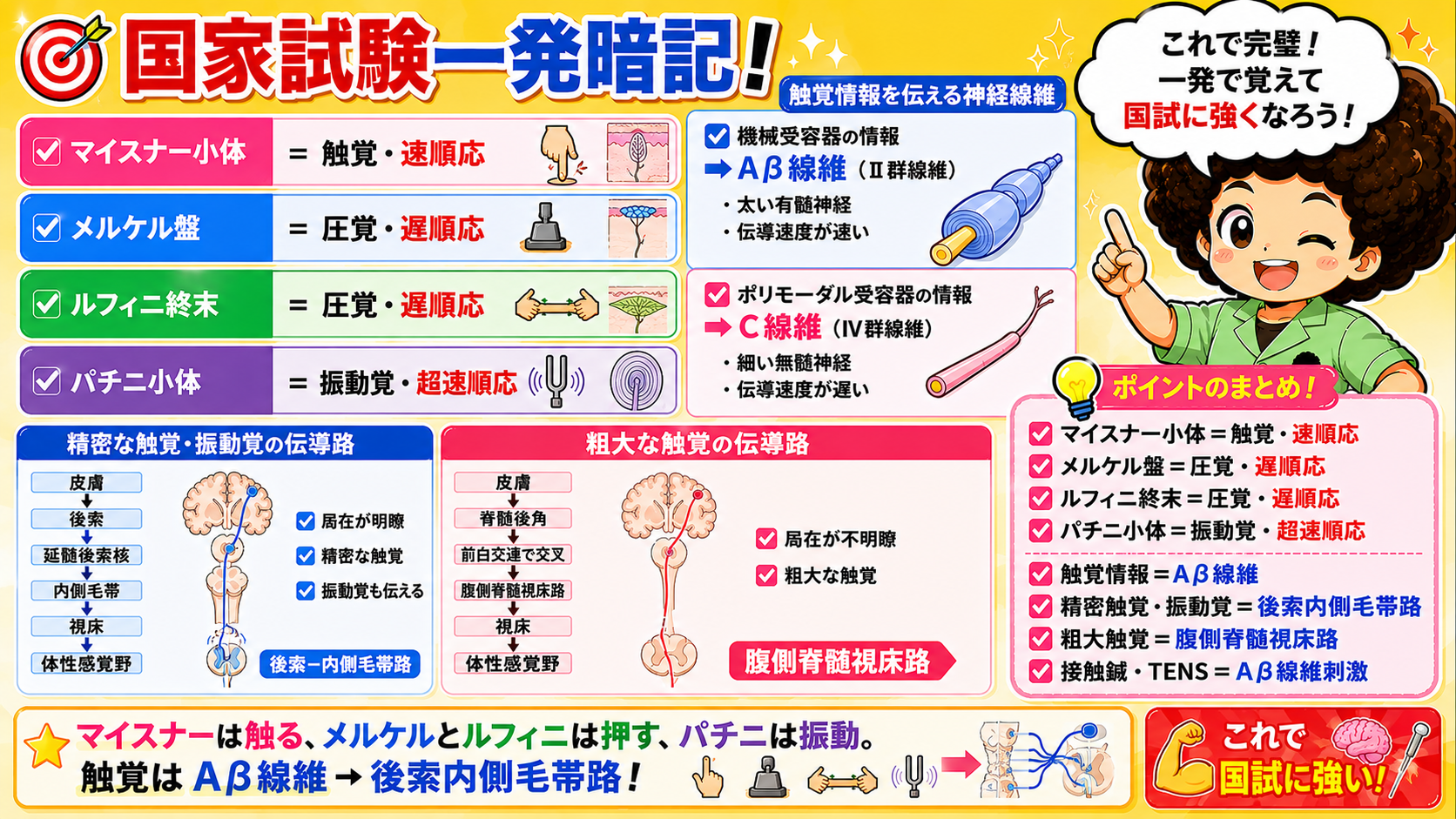国家試験一発暗記まとめ
