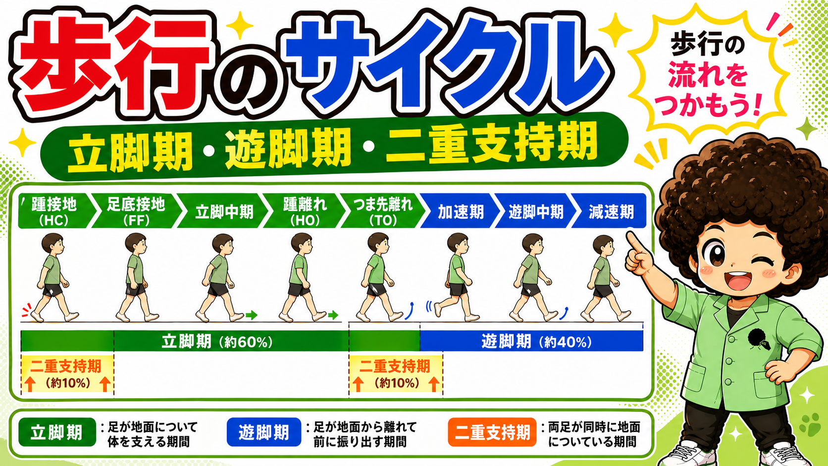 歩行周期（立脚期約60%・遊脚期約40%・二重支持期約10%×2）