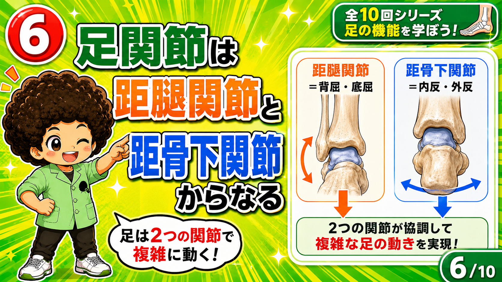 距腿関節＝背屈・底屈、距骨下関節＝内反・外反という役割分担