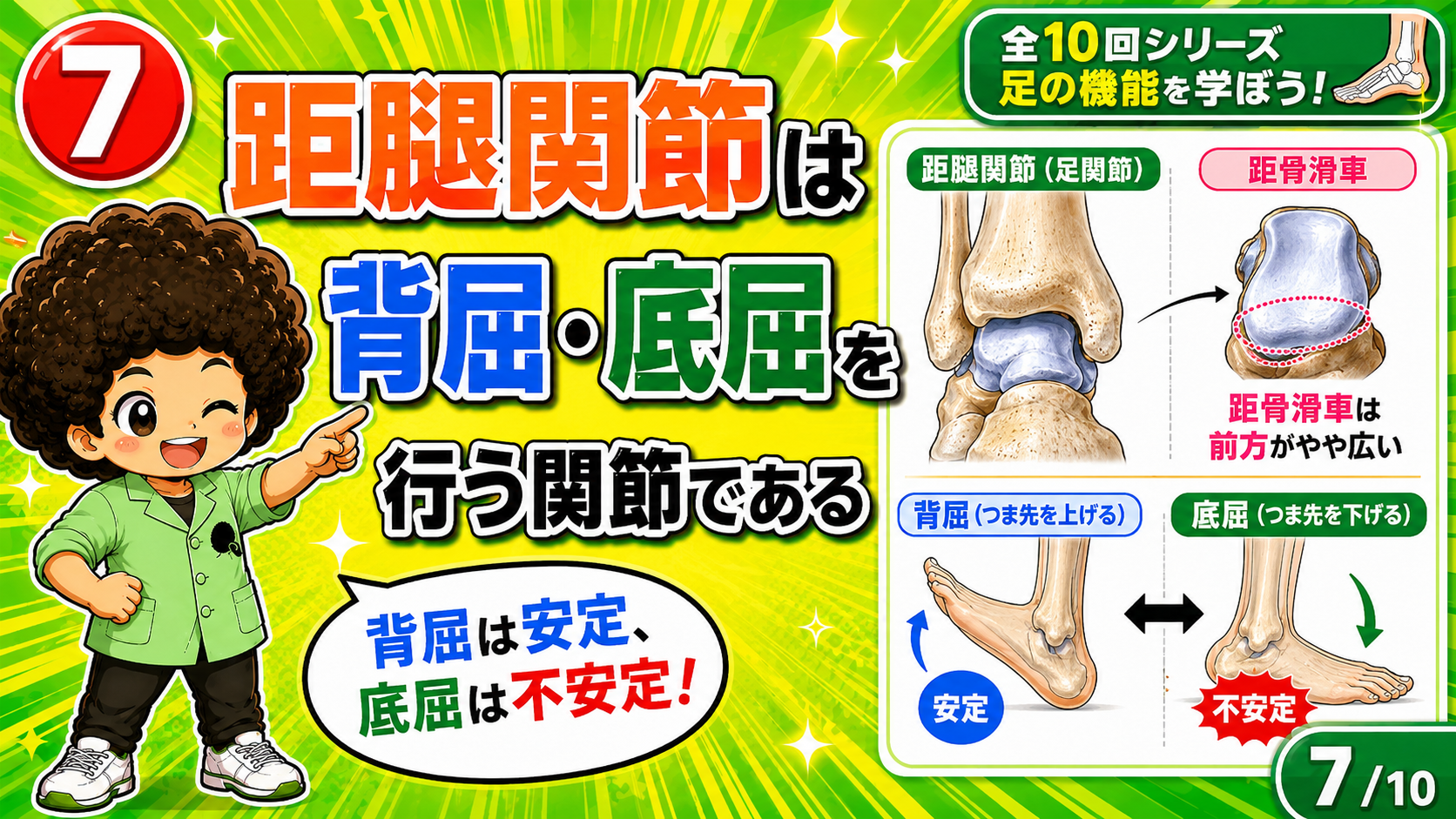 距骨滑車は前方が広い。背屈は安定、底屈は不安定