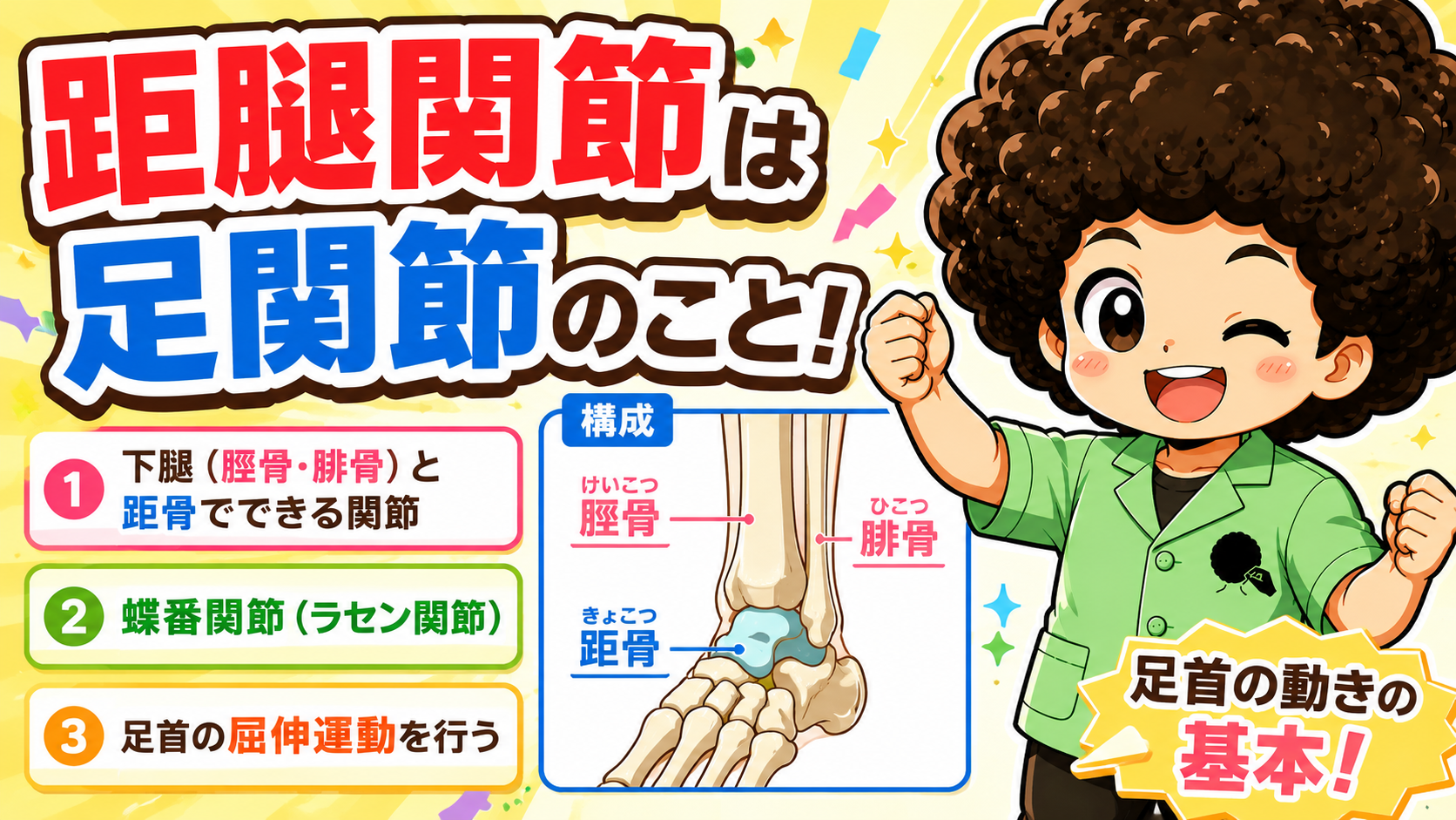 距腿関節｜距腿関節 1