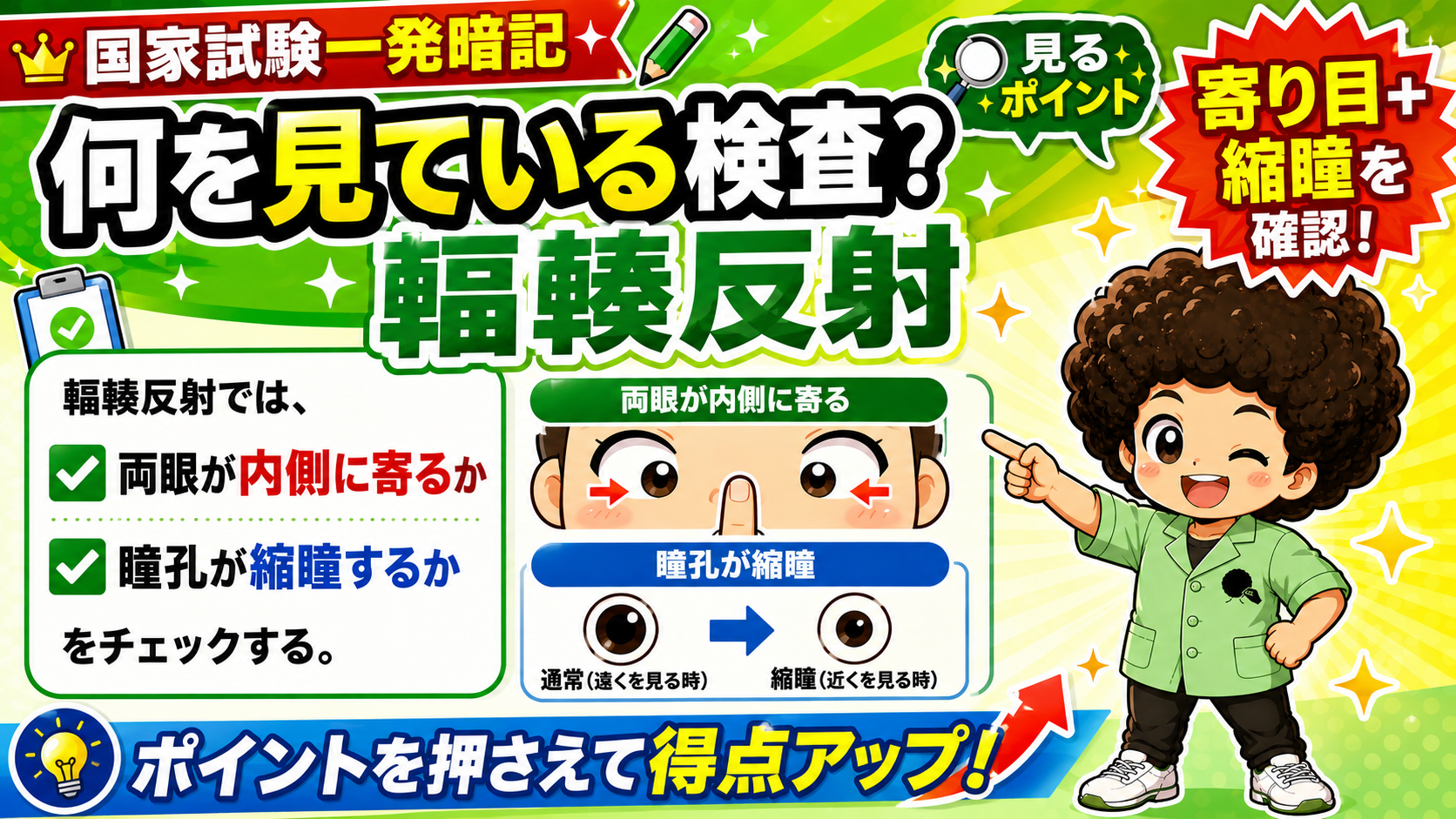 見るポイントは「両眼が内側に寄るか」「瞳孔が縮瞳するか」の2点