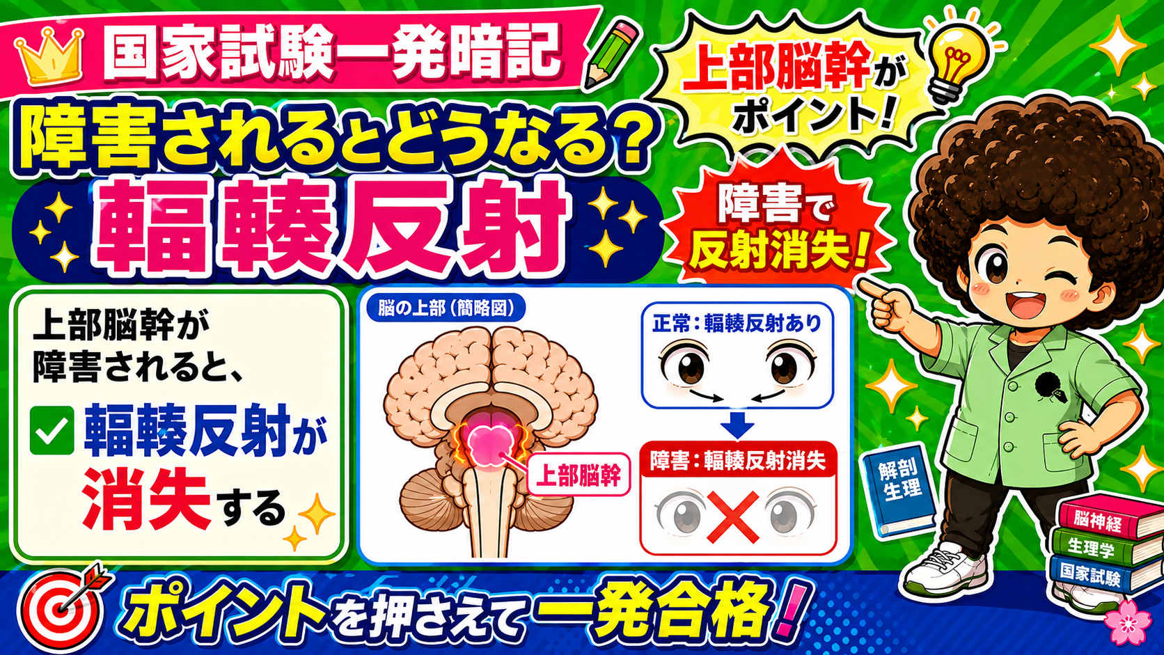 上部脳幹が障害されると輻輳反射は消失する
