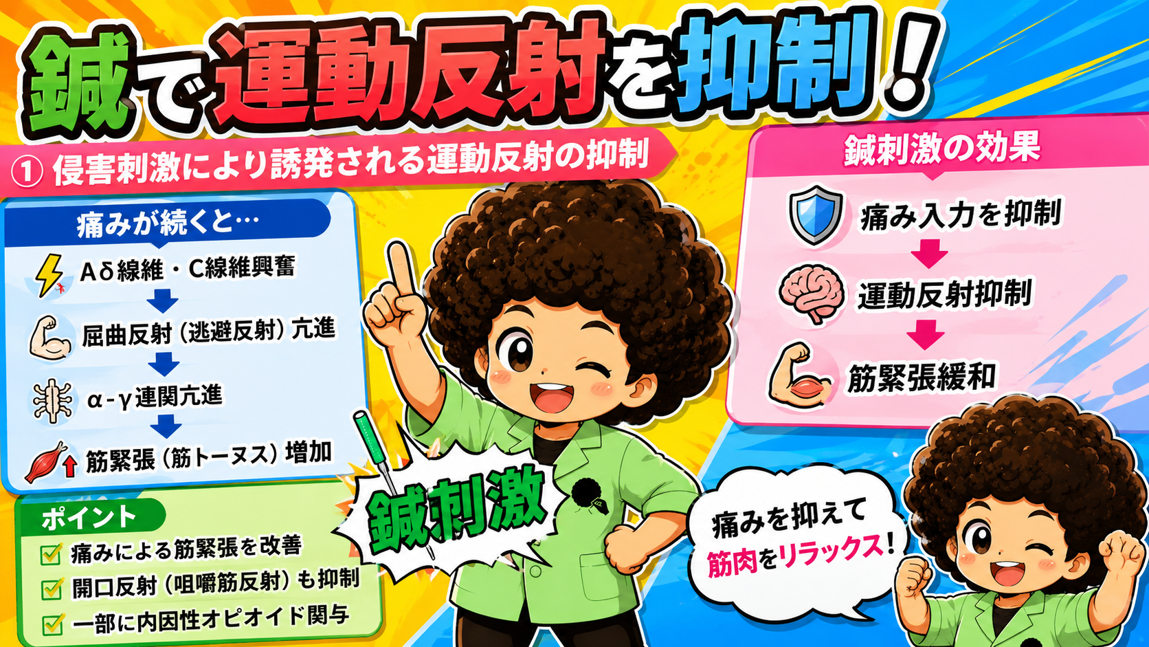 運動反射の抑制｜運動反射の抑制 1