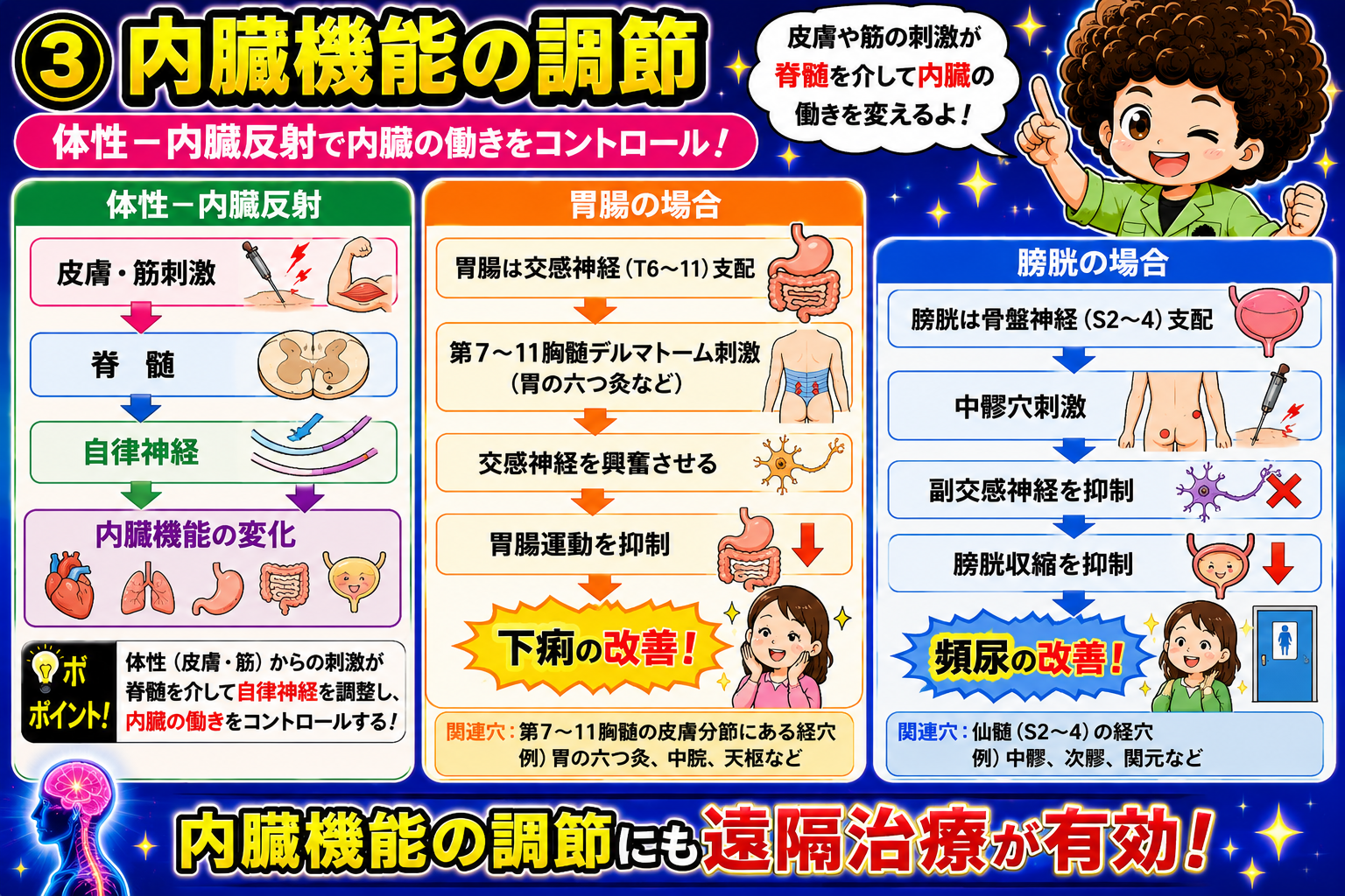 体性-内臓反射：皮膚・筋刺激→脊髄→自律神経→内臓機能の変化
