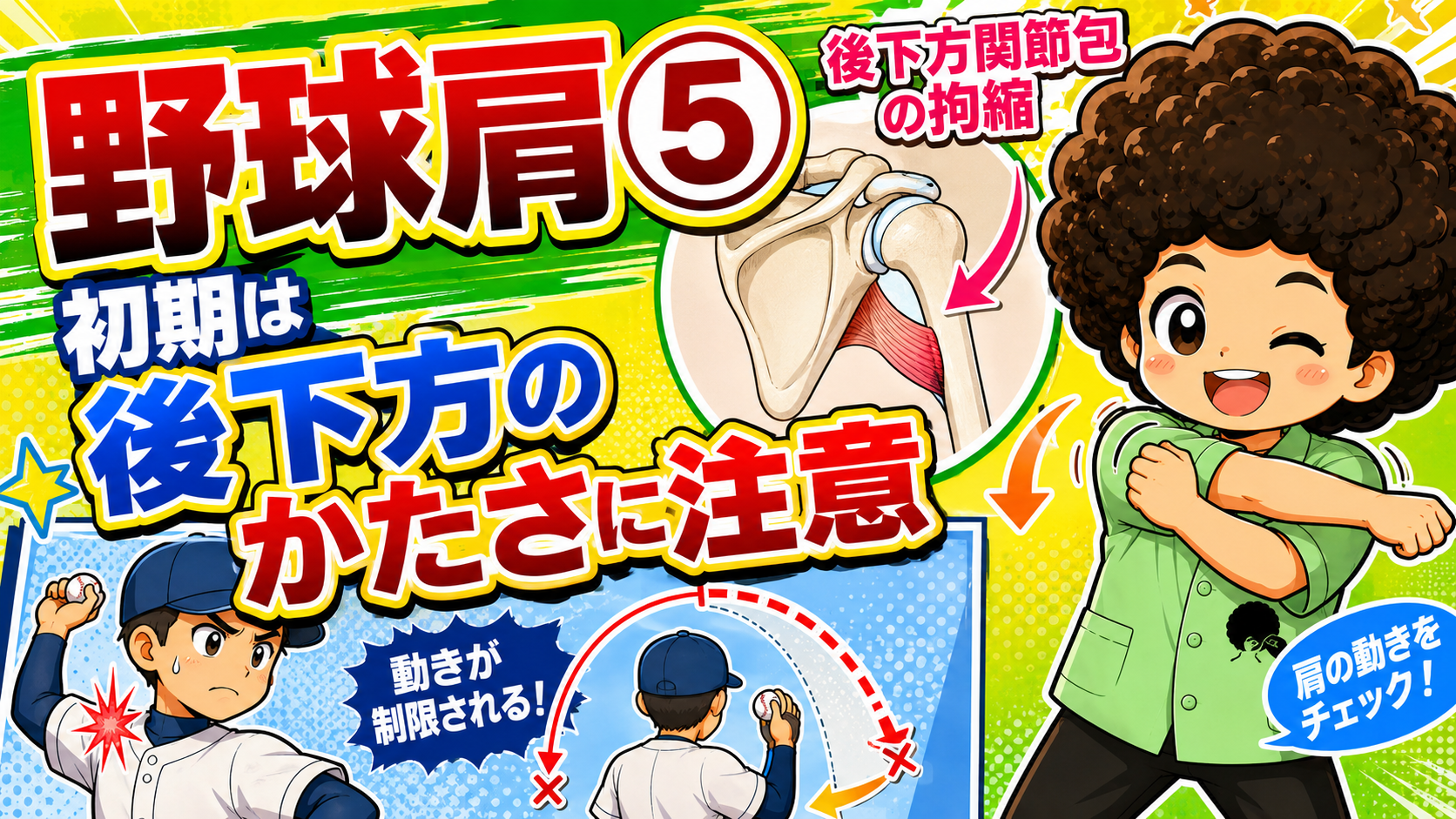 初期は後下方関節包の拘縮による動きの制限に注意する