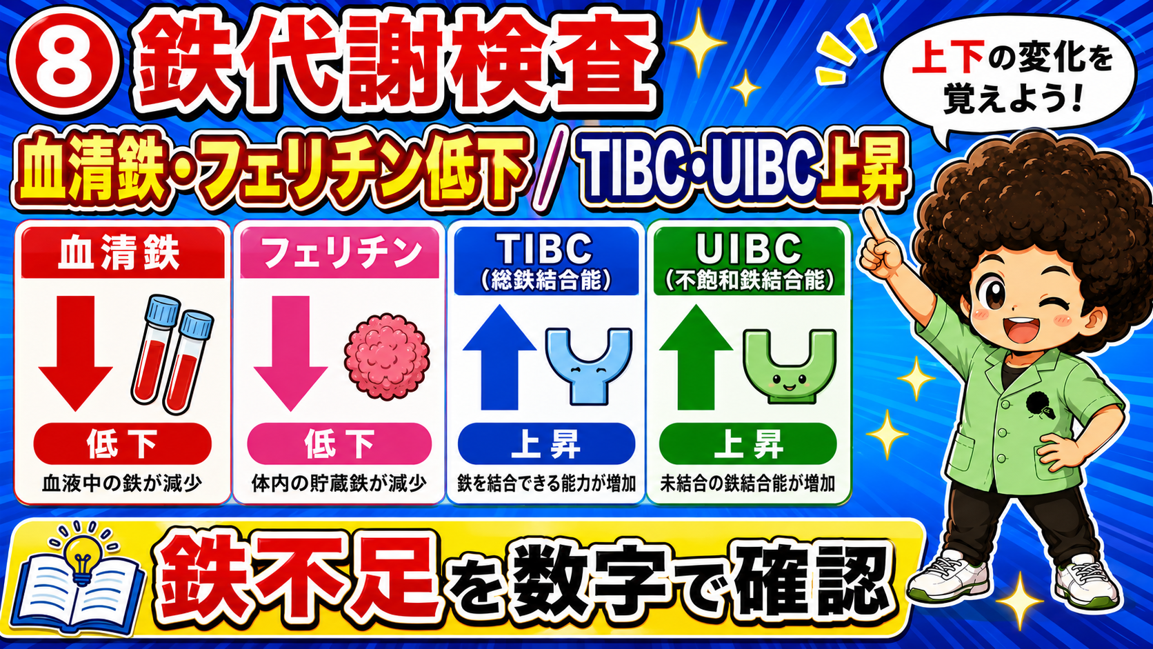 血清鉄・フェリチン低下／TIBC・UIBC上昇