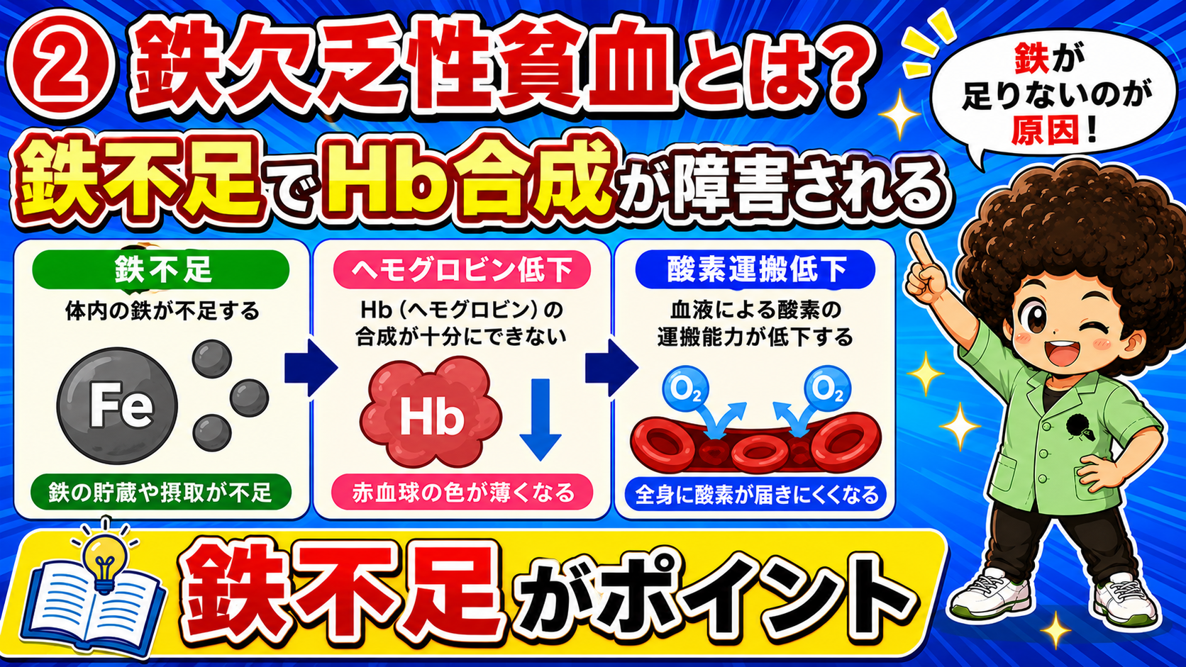 鉄不足でHb合成が障害され、酸素運搬能が低下する