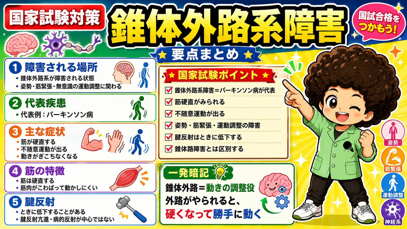 錐体外路系障害＝パーキンソン病が代表。筋硬直・不随意運動・姿勢や運動調整の障害