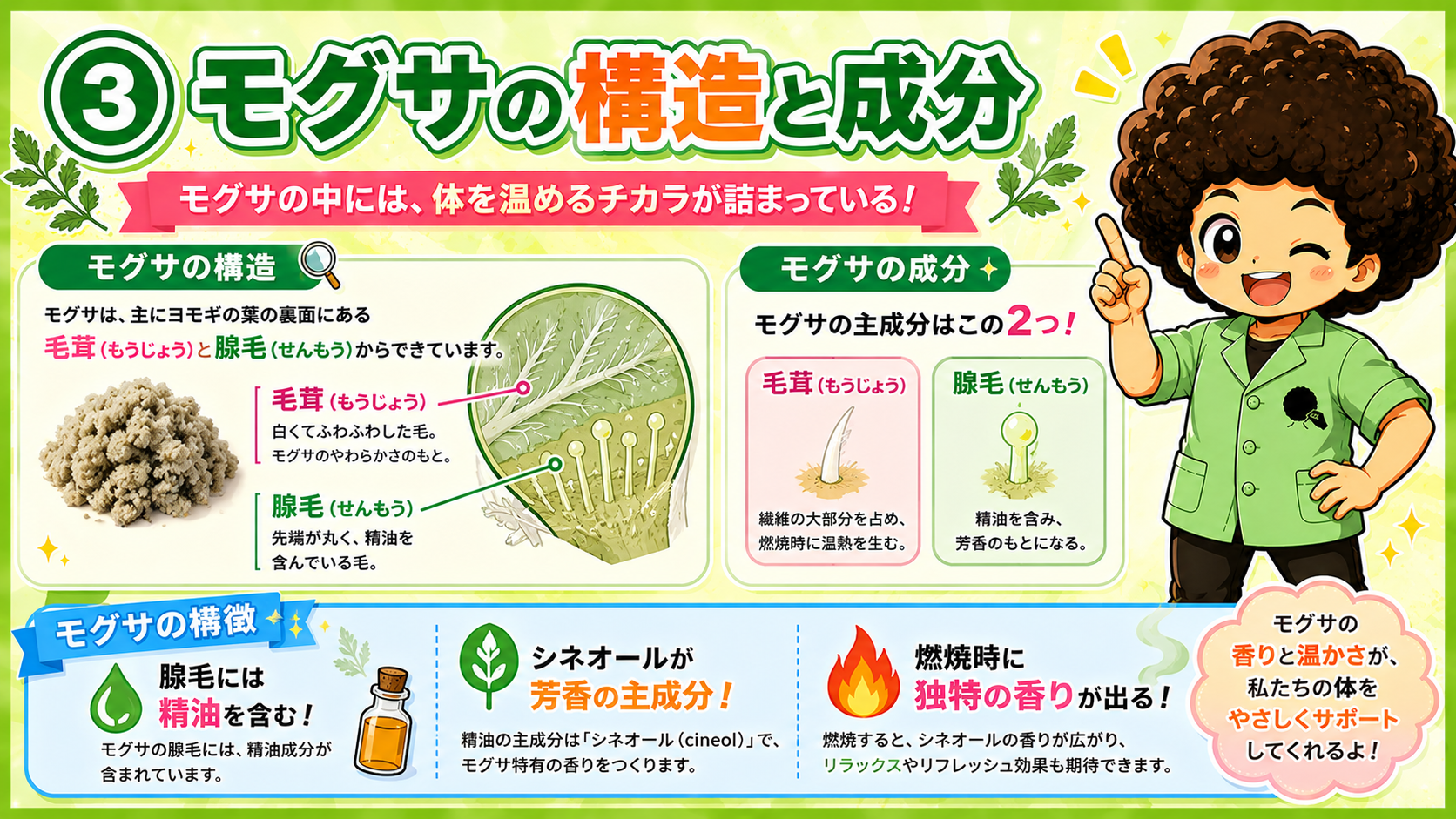 艾の構造（毛茸・腺毛）と主成分