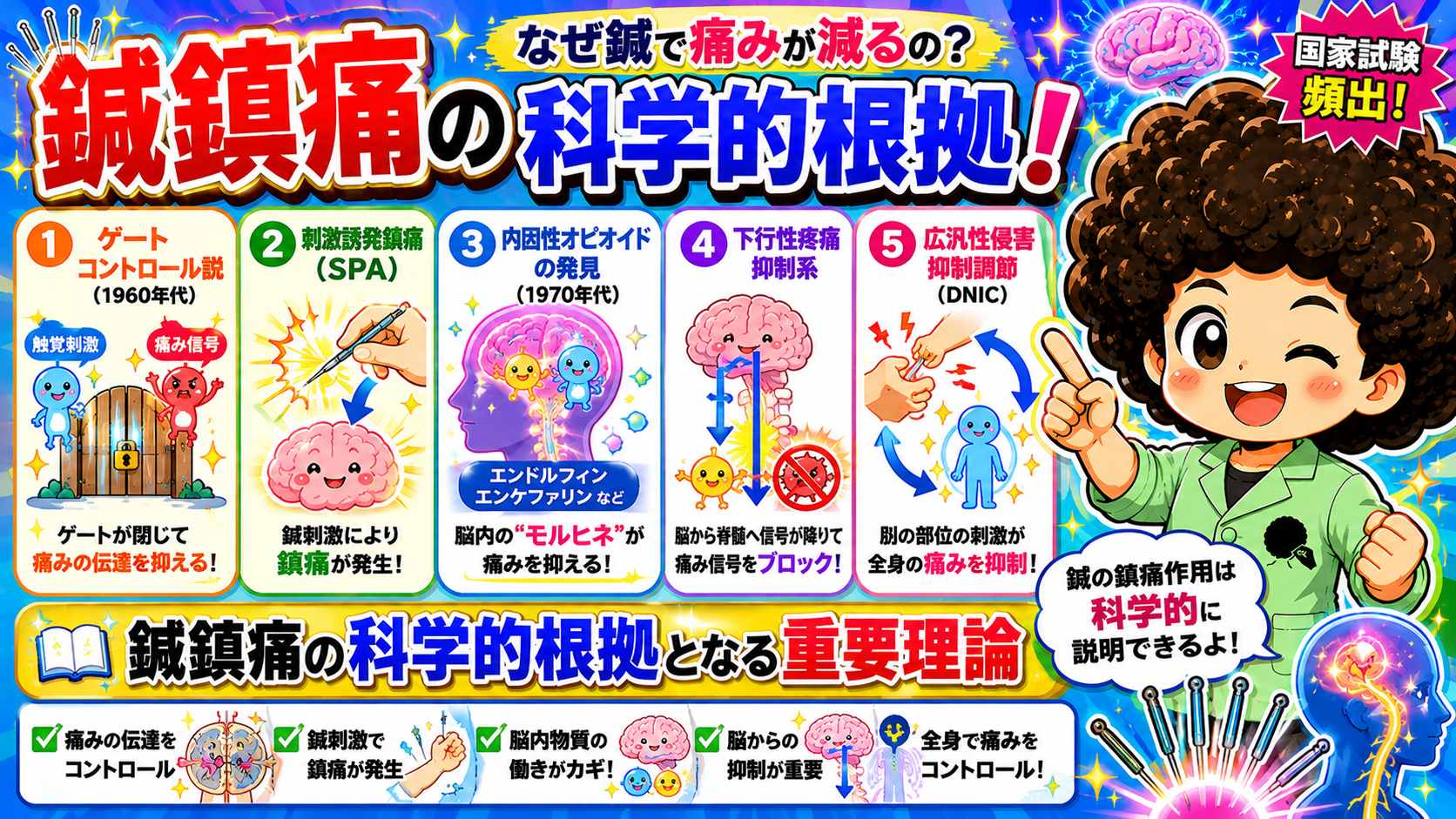 鍼鎮痛の科学的根拠となる5つの重要理論