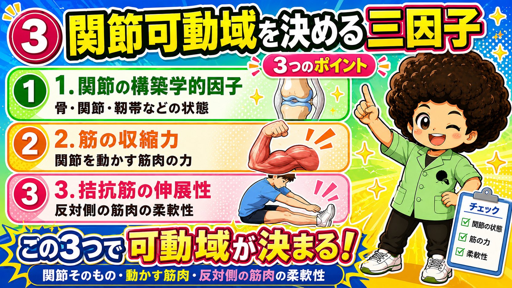 関節可動域を決める三因子