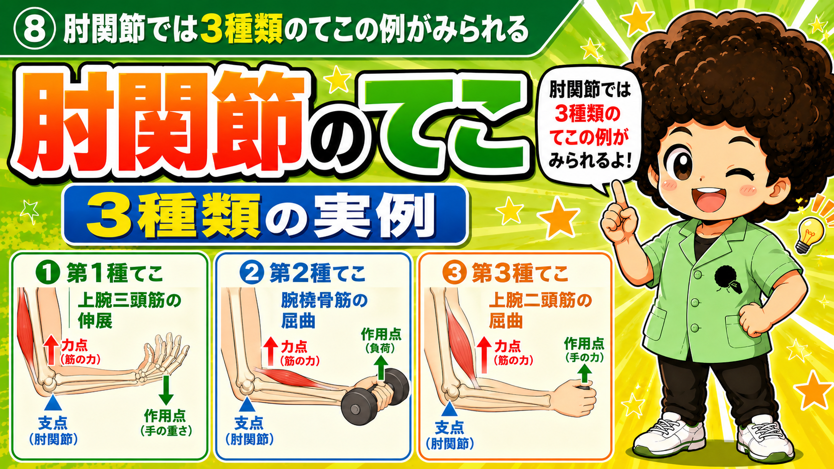 肘関節では第1種・第2種・第3種すべてのてこがみられる