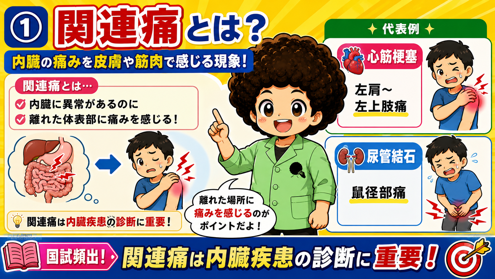 関連痛と鍼灸の鎮痛機序｜関連痛と鍼灸の鎮痛機序 1