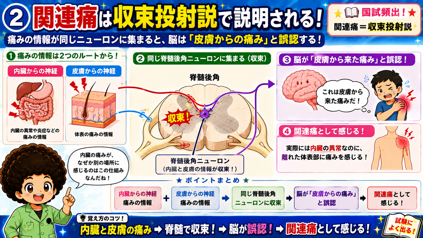 収束投射説：内臓と皮膚の痛覚が同じ脊髄後角ニューロンに収束する