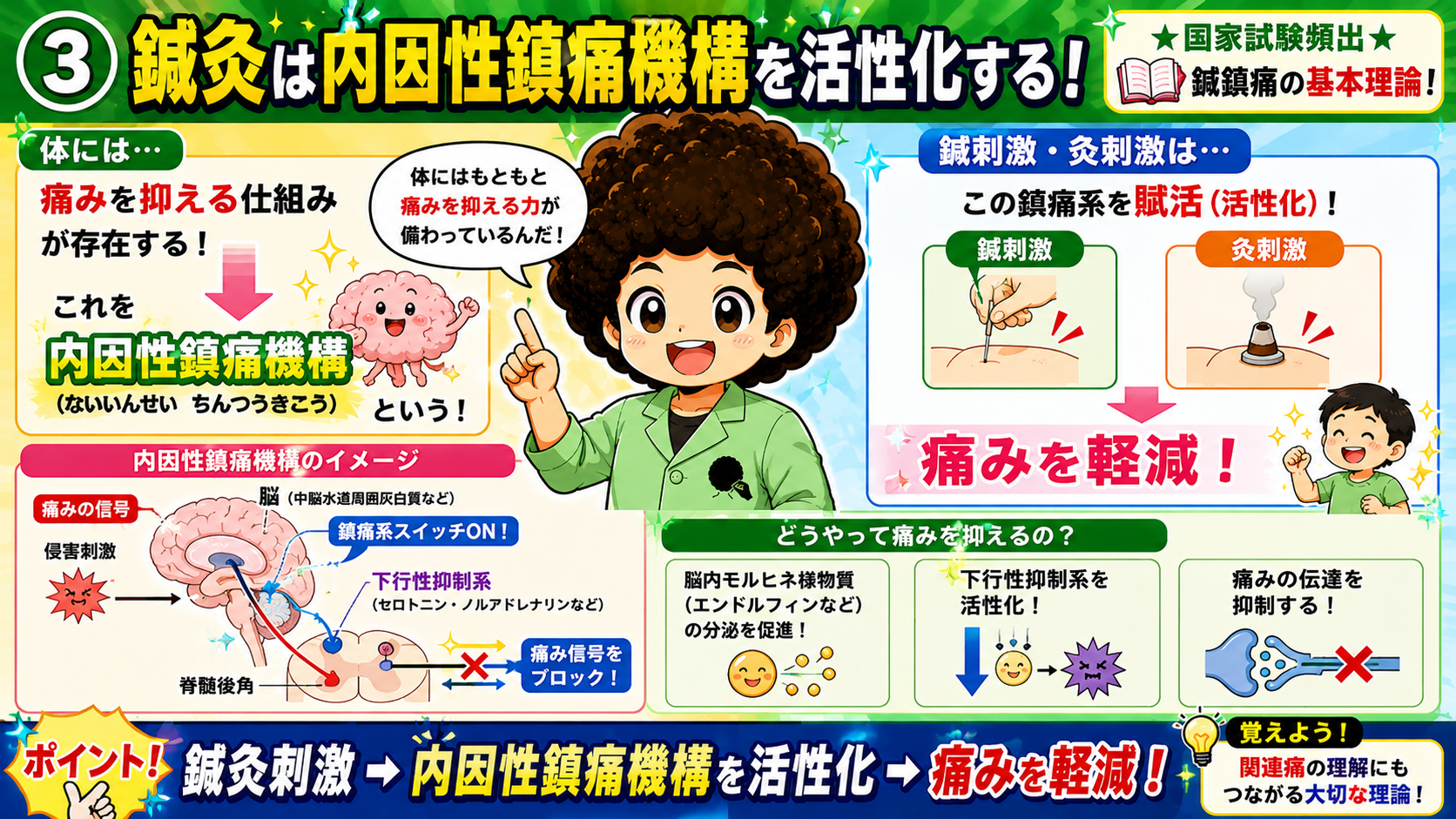 内因性鎮痛機構：中脳水道周囲灰白質→下行性抑制系→脊髄後角でブロック