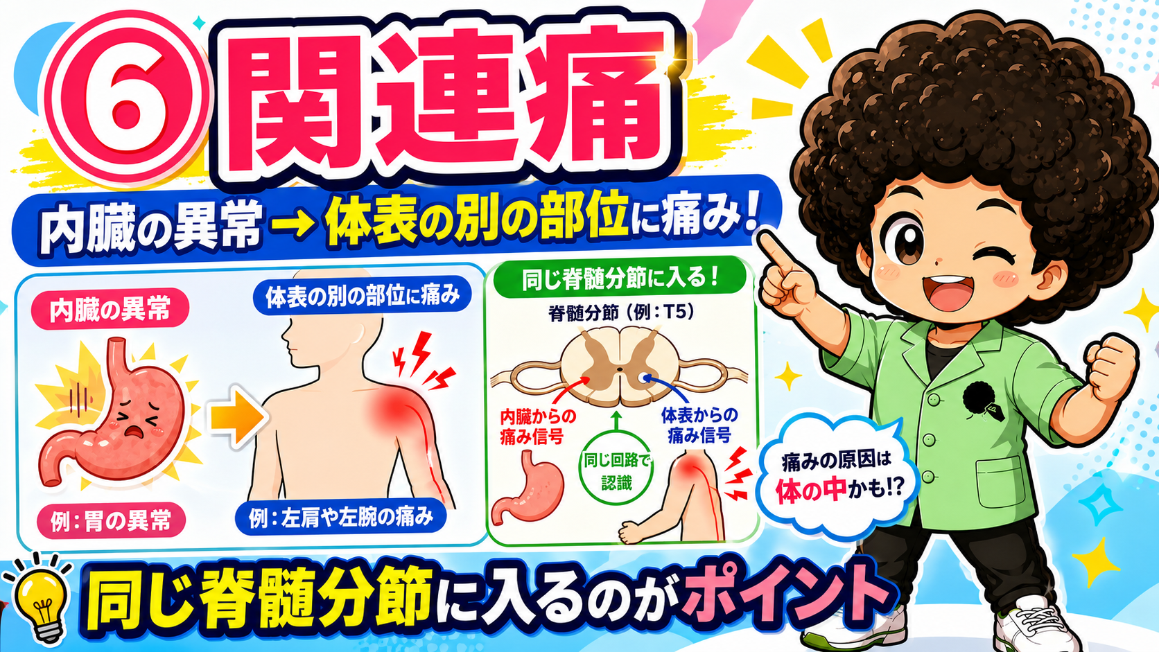 関連痛は内臓と体表の痛み信号が同じ脊髄分節に入ることで生じる