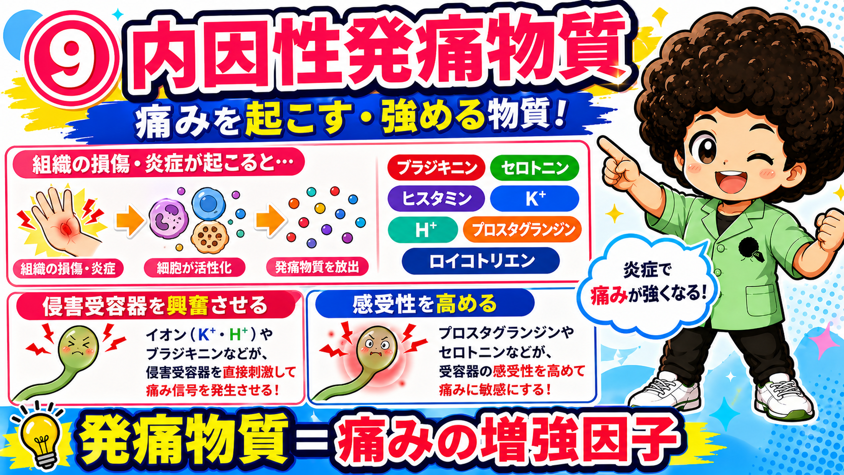発痛物質は侵害受容器を直接興奮させるものと感受性を高めるものがある