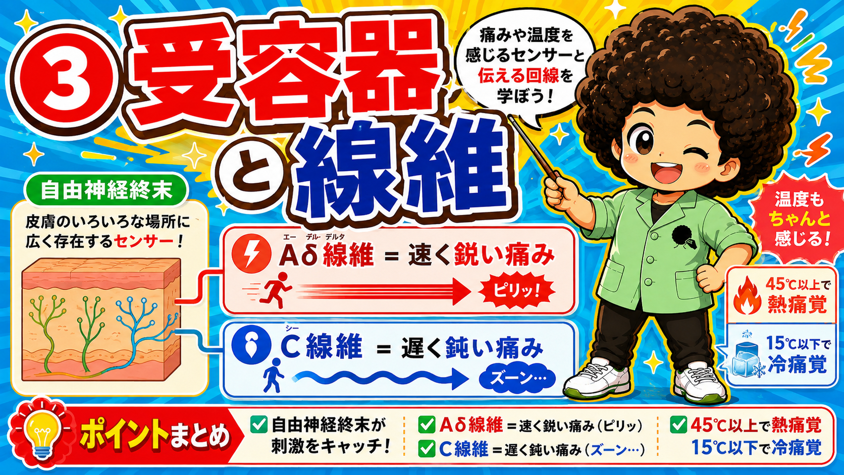 自由神経終末がキャッチし、Aδ線維＝速く鋭い痛み、C線維＝遅く鈍い痛み。45℃以上で熱痛覚、15℃以下で冷痛覚