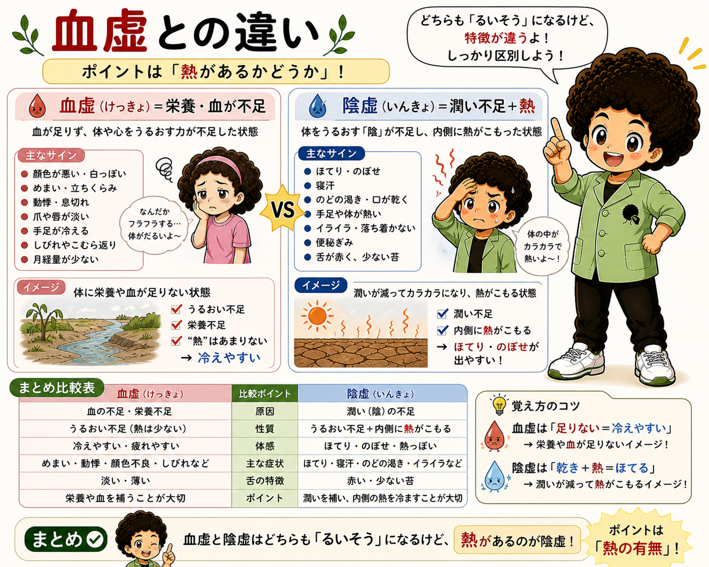 血虚と陰虚の違い比較表：区別のポイントは「熱の有無」