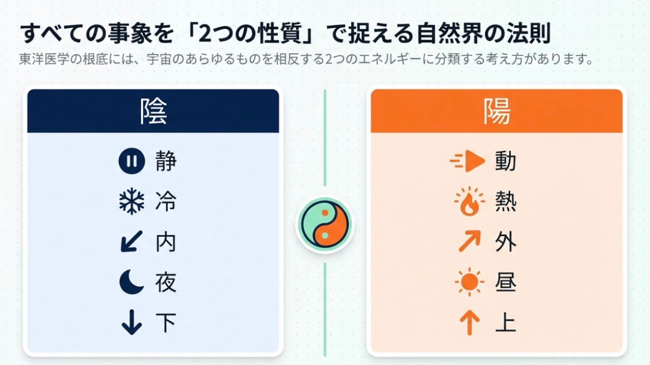 陰と陽の基本的な分類。陰＝静・冷・内・夜・下、陽＝動・熱・外・昼・上