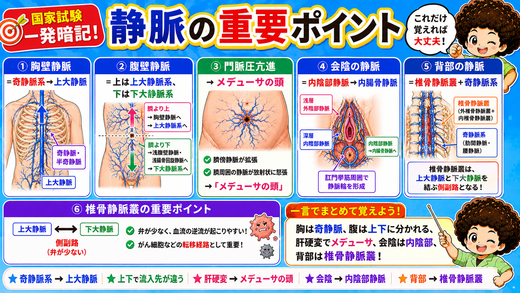 静脈の重要ポイントまとめ（①〜⑤の一発暗記表）