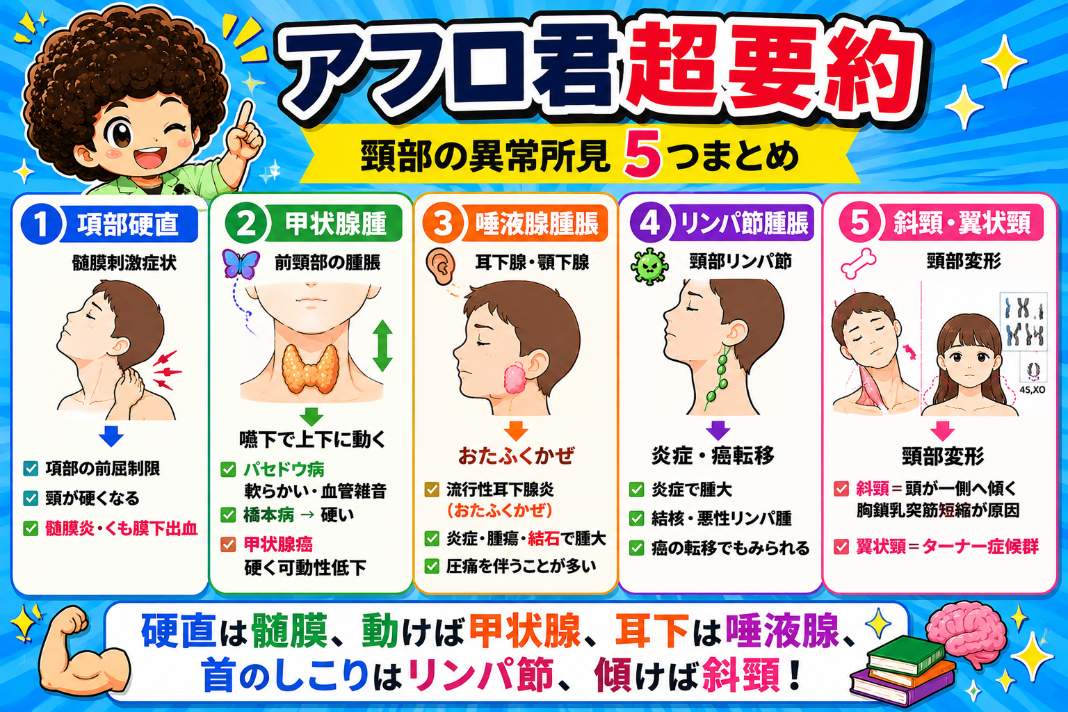 頸部の異常所見5つのまとめ