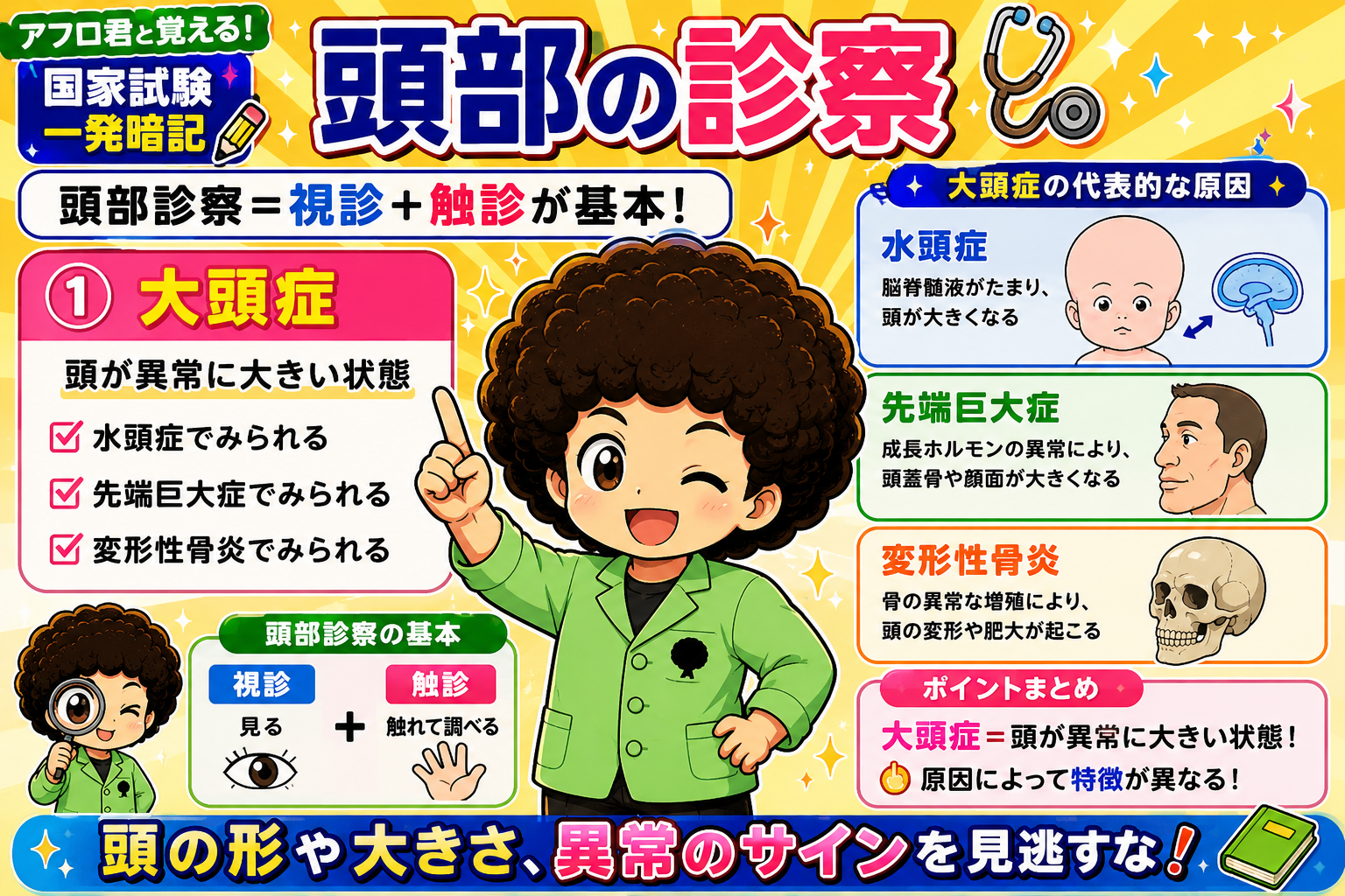 頭部の診察｜頭部の診察 1