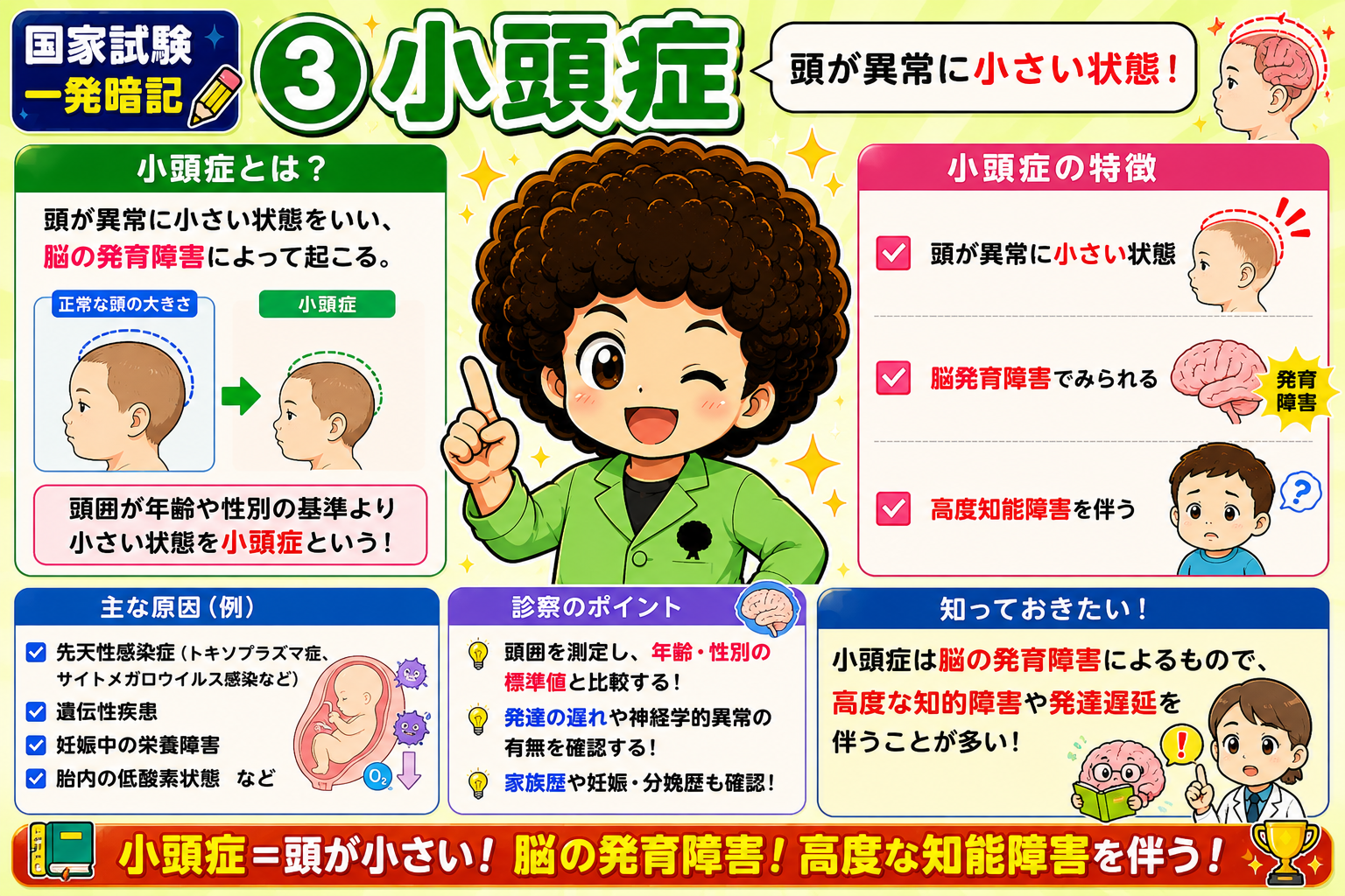 小頭症＝頭が小さい・脳の発育障害・高度知能障害を伴う