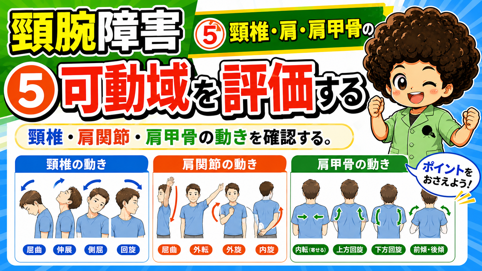 頸椎・肩関節・肩甲骨それぞれの動きを確認する