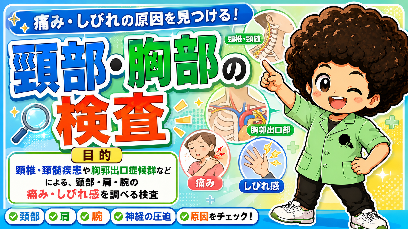 頸部・胸部の検査｜頸部・胸部の検査 1