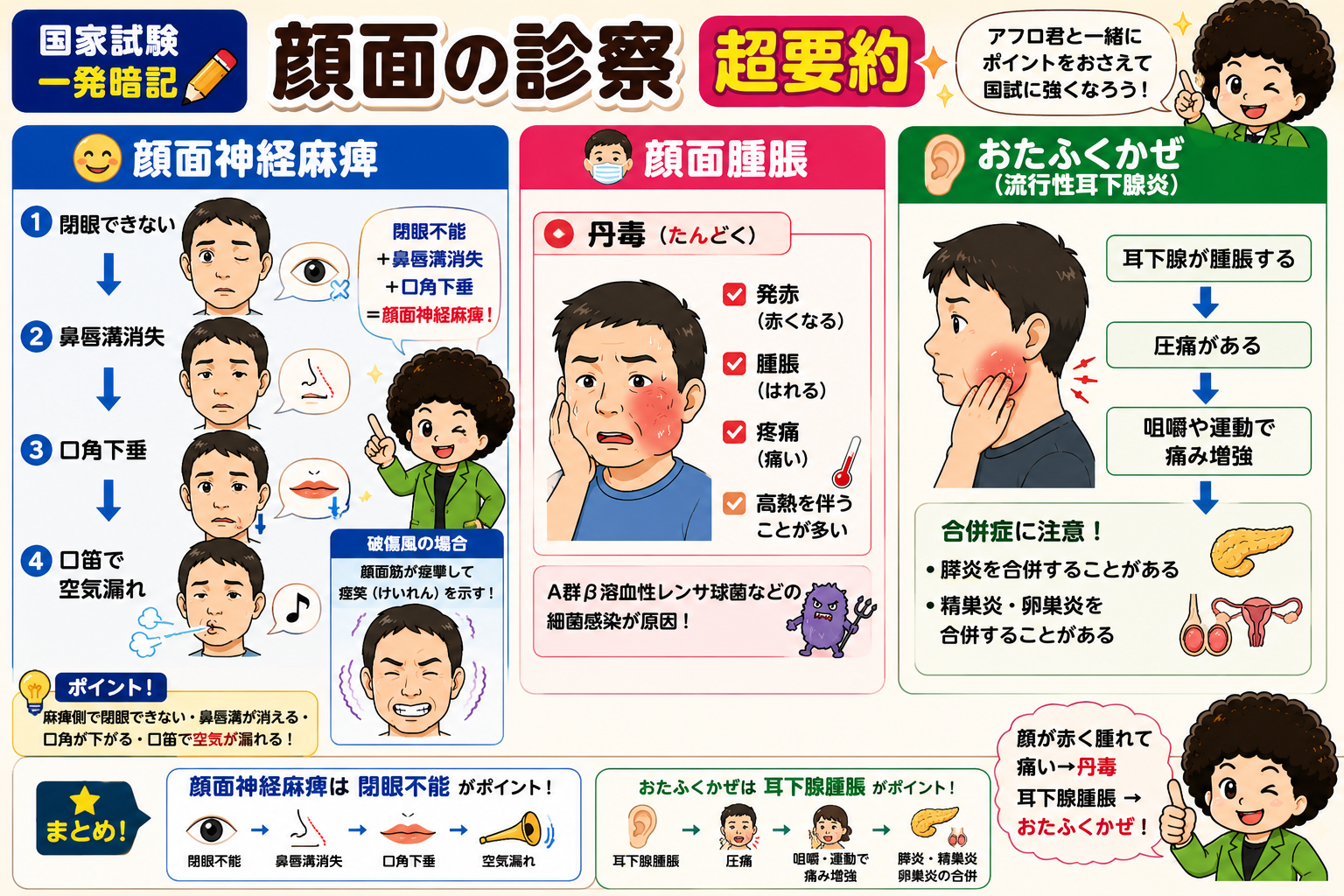 顔面の診察 超要約（顔面神経麻痺・顔面腫脹・おたふくかぜ）