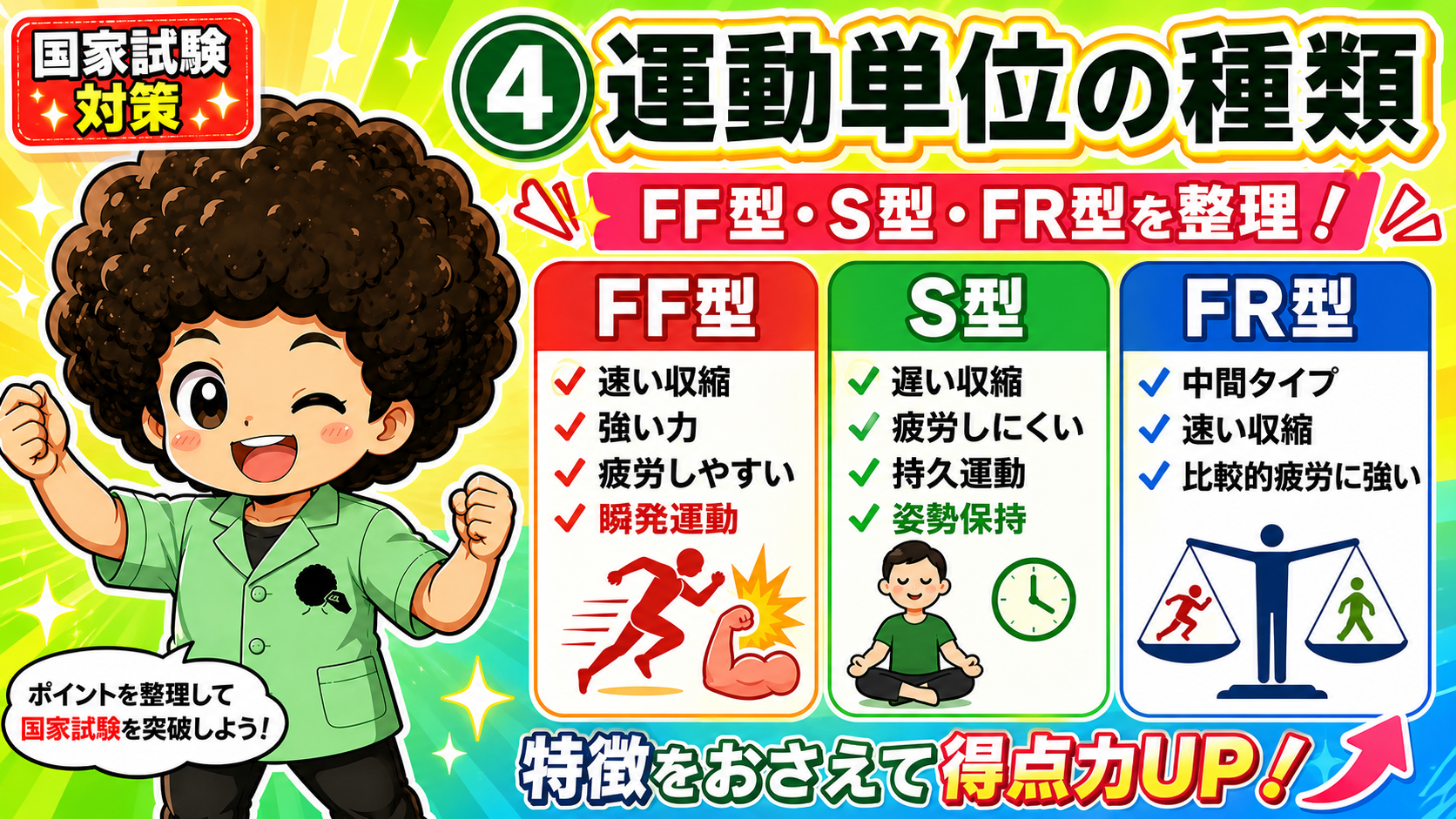 運動単位の3型：FF型・S型・FR型の特徴整理