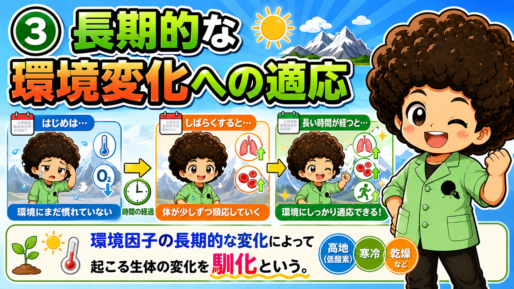 長期的な環境変化によって起こる生体の変化＝馴化